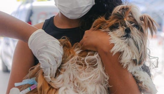 Imagem de Parque da Cidade e Salvador Norte Shopping recebem Outubro Rosa Pet neste sábado com castramóvel