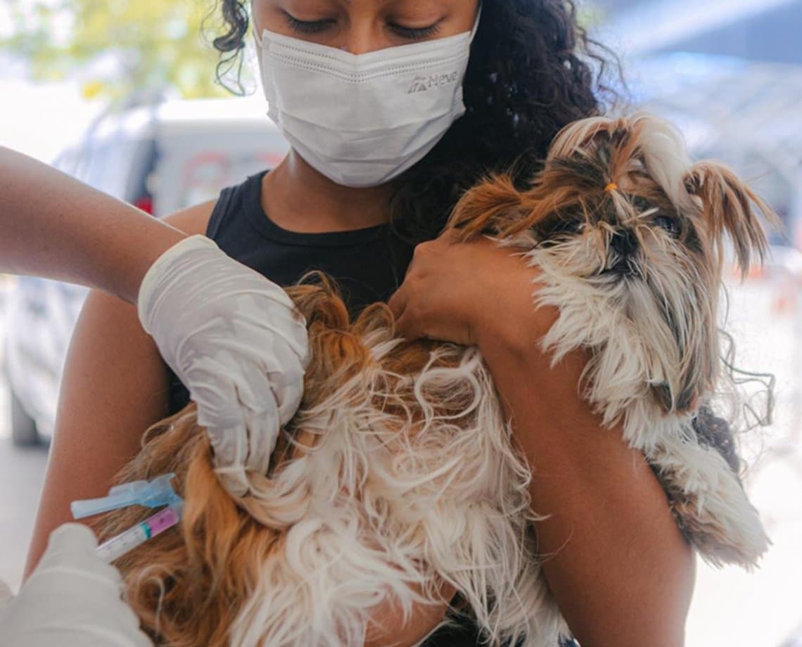 Parque da Cidade e Salvador Norte Shopping recebem Outubro Rosa Pet neste sábado com castramóvel