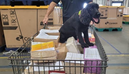 Imagem de Via Correios: drogas diversas são encontradas em centro de distribuição com brinquedos e outros produtos