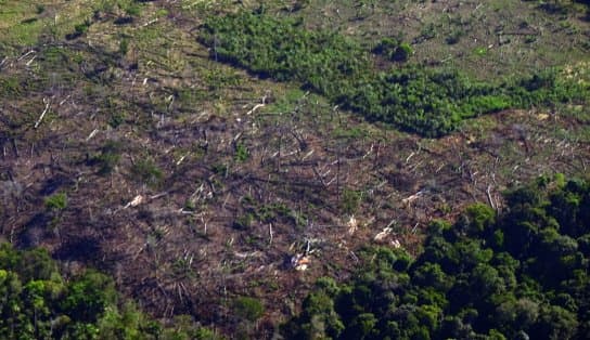 Imagem de Fundo Amazônia deve ser reativado nos próximos 60 dias, define STF