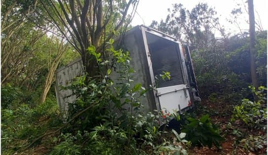 Imagem de Caminhão com 6 toneladas de carne cai em área de vegetação no Acesso Norte, em Salvador