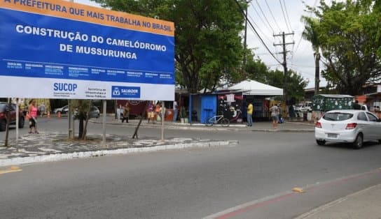 Imagem de Mussurunga terá "camelódromo"; veja como será a estrutura  