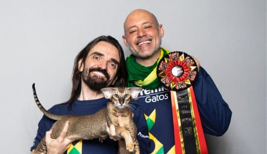 Imagem de Gato baiano fica entre os quatro melhores em exposição mundial, na Bélgica